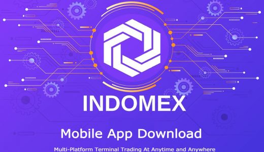 仮想通貨取引所・INDOMEX(インドメックス)の特徴や口座解説方法