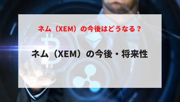ネム（XEM）の今後・将来性